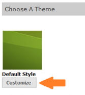 Customize button in Choose a Theme section