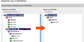copy entire sections, pages, or modules to another portfolio you own by selecting a different portfolio in the box on the right and copying or pasting items over