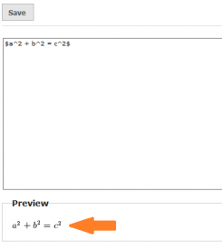 screenshot of equation preview