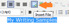 insert file icon