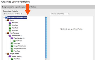 Use the organization box on the left to copy, drag, and reorganize sections, pages, and modules within the same portfolio