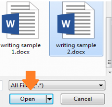 screenshot showing selected file and Open  button