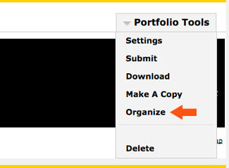 portfolio tools > organize